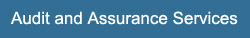 audit services