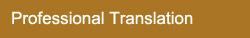 professional translation